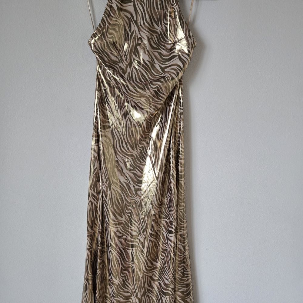 Zara Gold and Brown Backless Dress